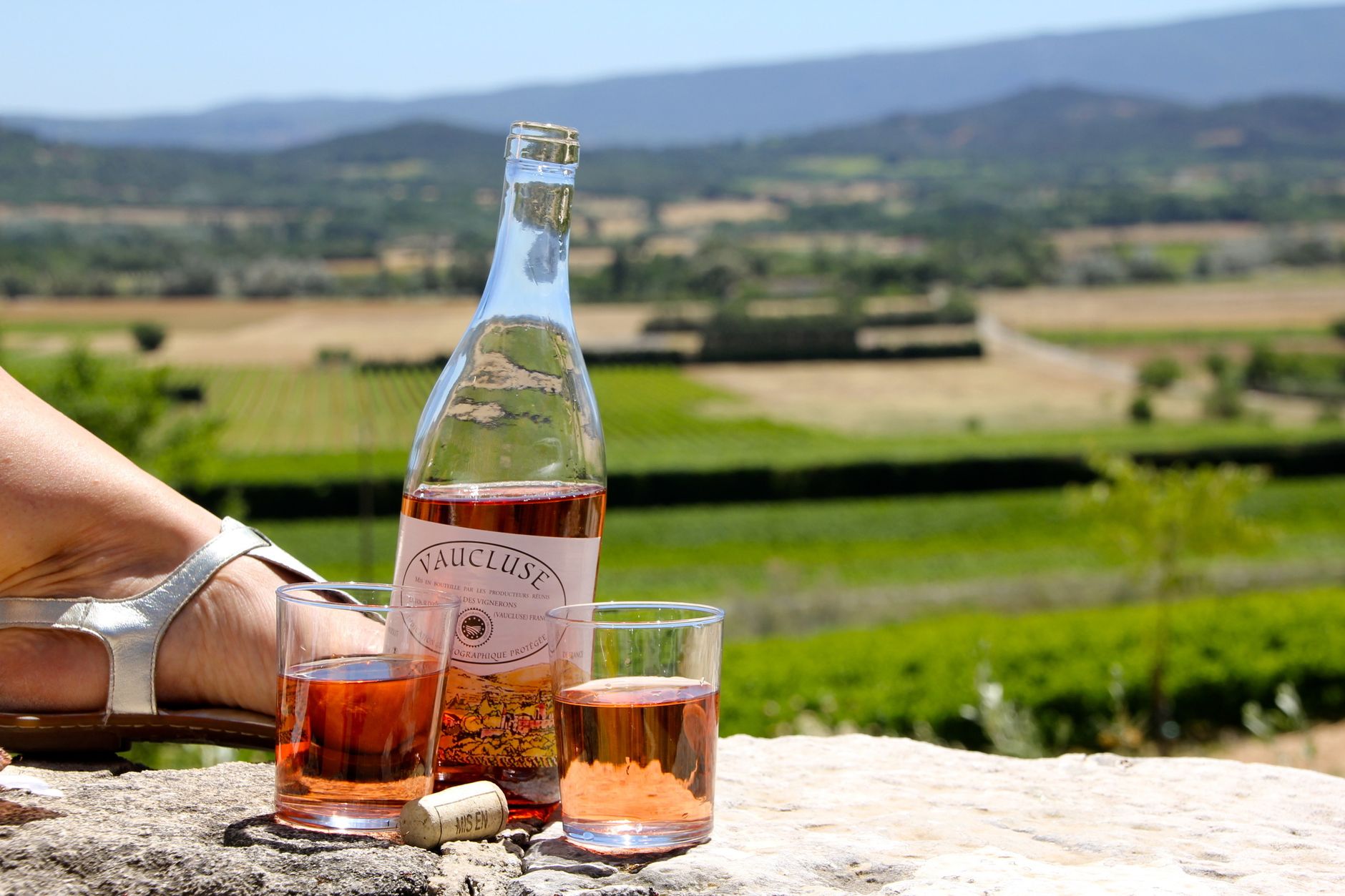 Vignobles de Provence au soleil